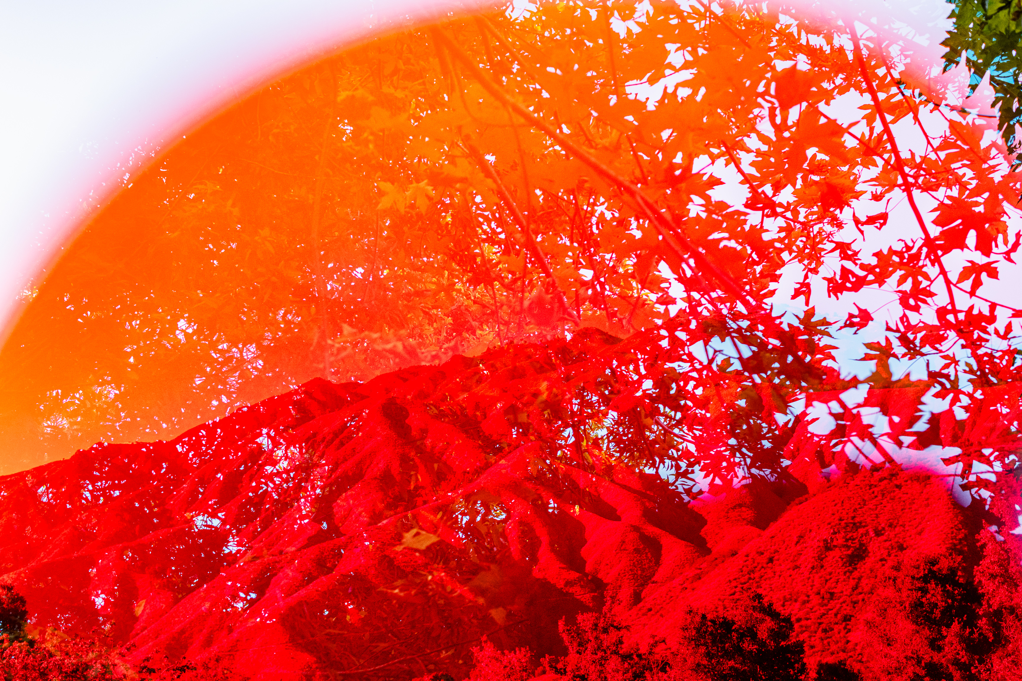 002_Emphasis_www.schaubstierli.com